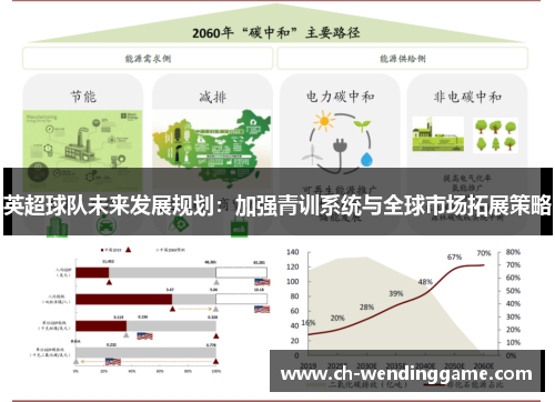 英超球队未来发展规划：加强青训系统与全球市场拓展策略