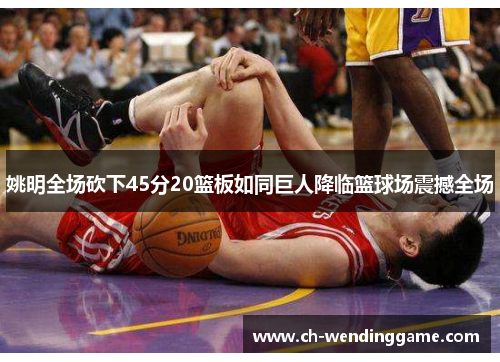 姚明全场砍下45分20篮板如同巨人降临篮球场震撼全场