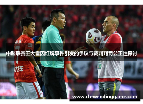 中超联赛王大雷因红牌事件引发的争议与裁判判罚公正性探讨