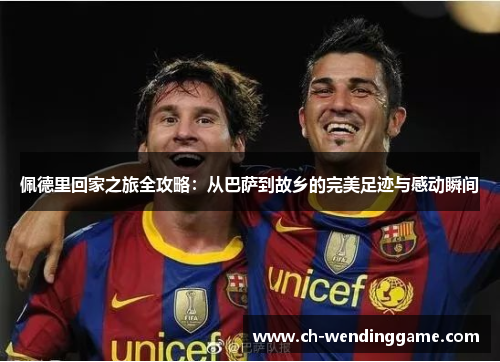佩德里回家之旅全攻略：从巴萨到故乡的完美足迹与感动瞬间