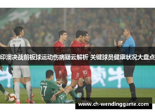印澳决战前板球运动伤病疑云解析 关键球员健康状况大盘点