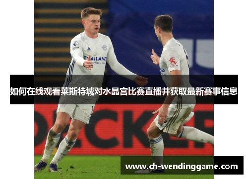 如何在线观看莱斯特城对水晶宫比赛直播并获取最新赛事信息