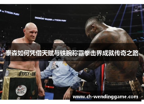 泰森如何凭借天赋与铁腕称霸拳击界成就传奇之路
